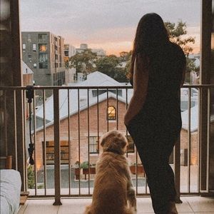 Meet your Posher, Hayley